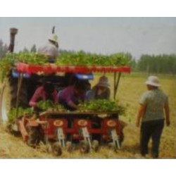 3-BIGDEL Sebze fide dikim makinesi 5 sıralı traktöre takılan model